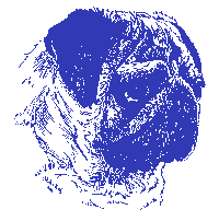 PugHead_right.gif (3034 bytes)